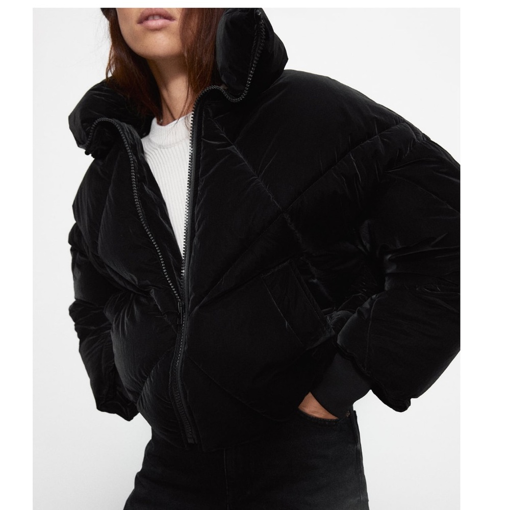 Puffer Jacket - Picture 6 of 10